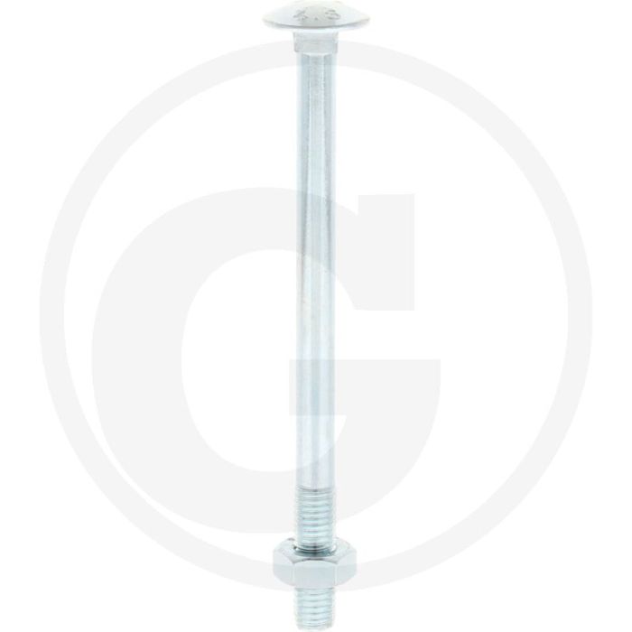 VPE25 slotbouten M10x140 DIN 603 staal 4.6 gegalvaniseerd platte ronde kop