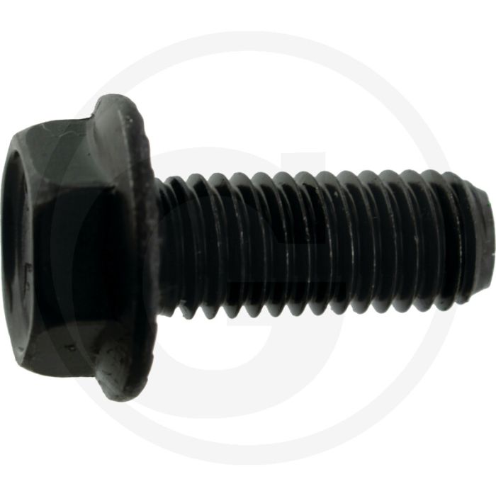Zeskantbout DIN 88933 M10x25 Staal 8.8 Zwart