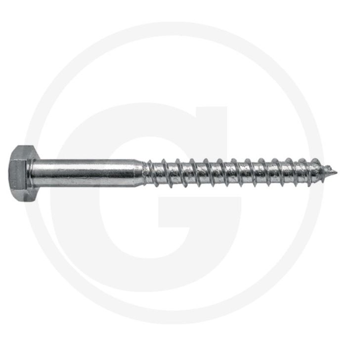 Houtdraadbouten DIN 571 M10 staal gegalvaniseerd 60 mm buitenzeskantkop