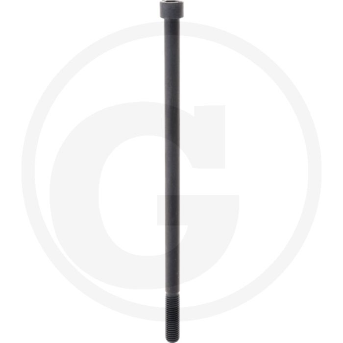 Cil. binnenzeskantbout M12x260 DIN912 Staal 12.9