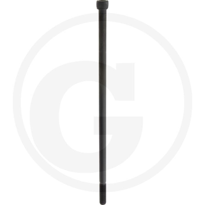 Cil. binnenzeskantbout M12x320 DIN912 Staal 12.9