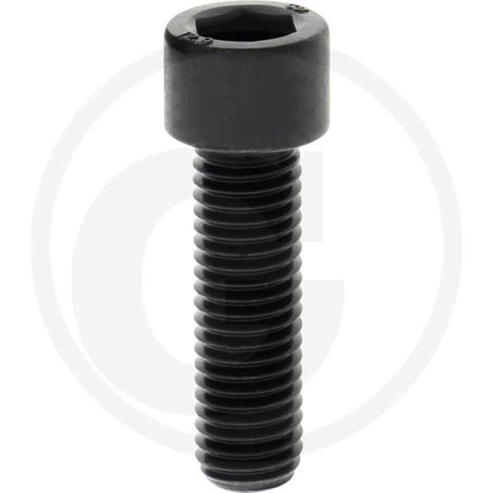 Cil. binnenzeskantbout M12x40 DIN912 Staal 12.9