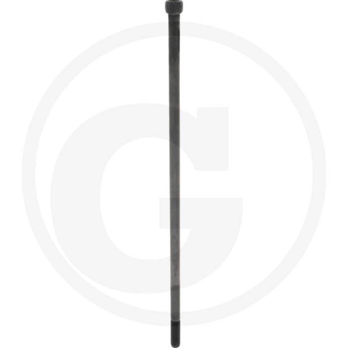 Cil. binnenzeskantbout M12x380 DIN912 Staal 12.9