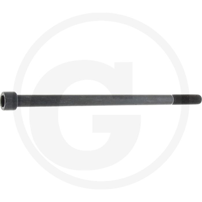 Cil. binnenzeskantbout M12x220 DIN912 Staal 12.9