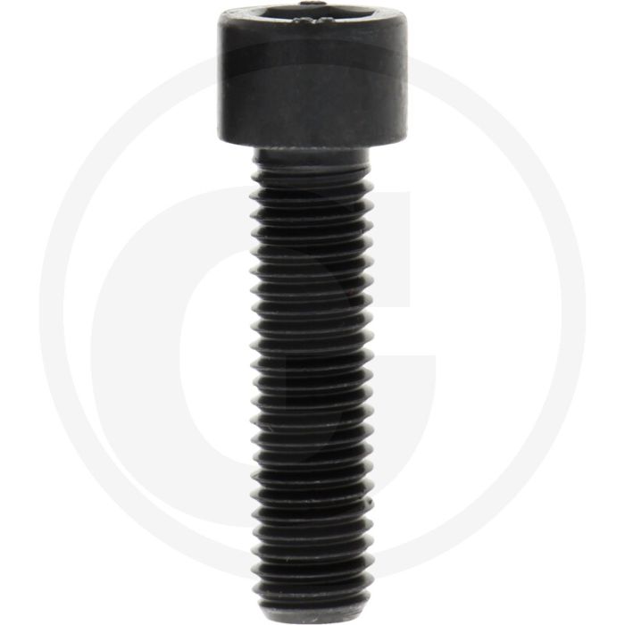 Cil. binnenzeskantbout M12x45 DIN912 Staal 12.9