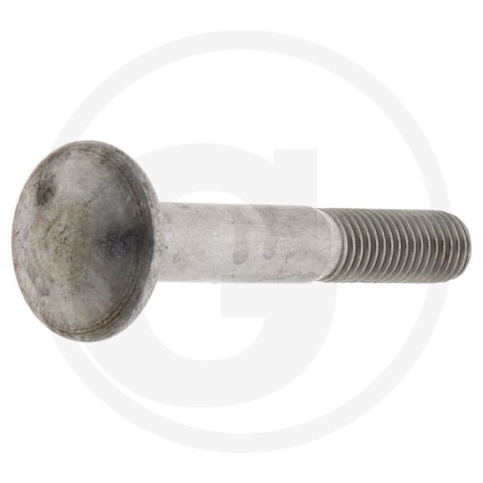 Slotbouten M12 x 80, DIN 603, Roestvrijstaal (V2A), Klasse 7