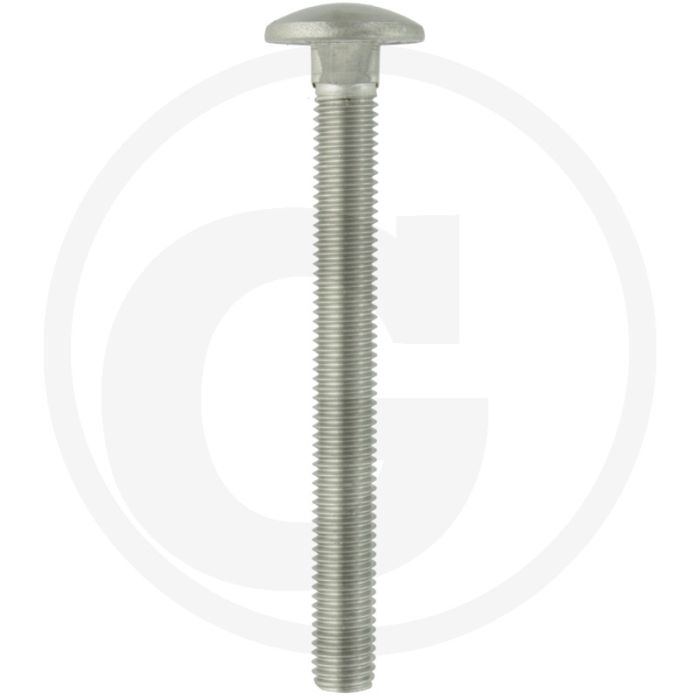 Slotbouten M12 x 120, DIN 603, roestvrijstaal V2A, metrische draad Klasse 7