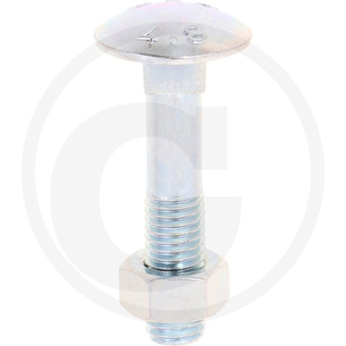 VPE50 slotbouten M12x60 DIN 603 staal 4.6 gegalvaniseerd platte ronde kop