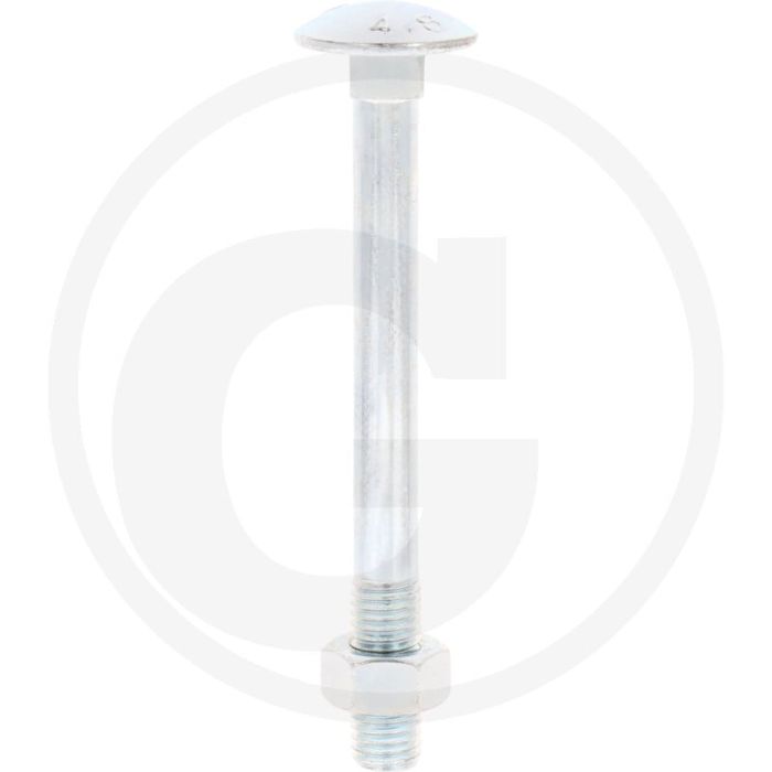 VPE25 slotbouten M12x120 DIN 603 staal 4.6 gegalvaniseerd platte ronde kop