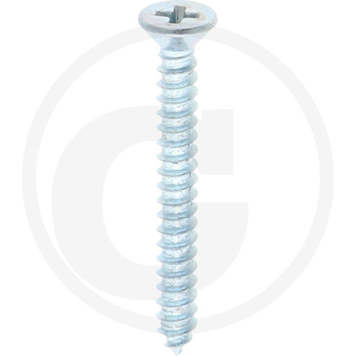Verz. zelftappende schr. 2,9x25 DIN7982 (VPE100)