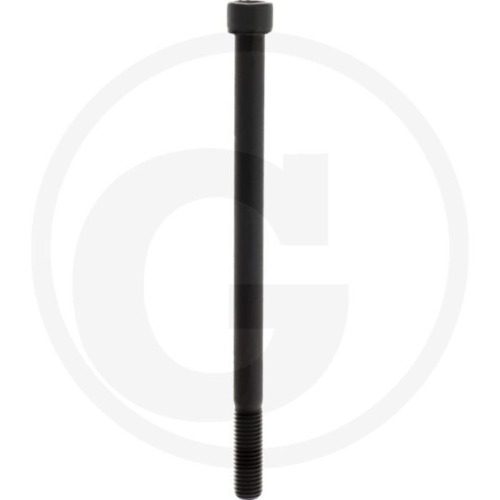 Cil. binnenzeskantbout M14x220 DIN912 Staal 12.9