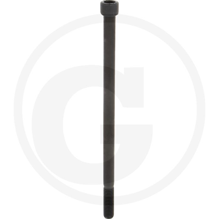 Cil. binnenzeskantbout M14x260 DIN912 Staal 12.9