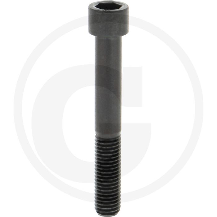 Cil. binnenzeskantbout M14x100 DIN912 Staal 12.9