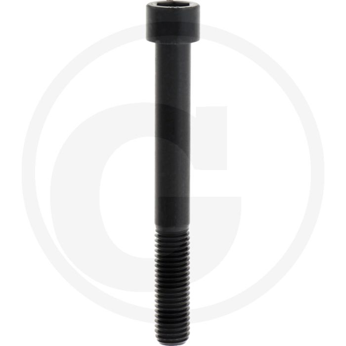 Cil. binnenzeskantbout M14x120 DIN912 staal 12.9