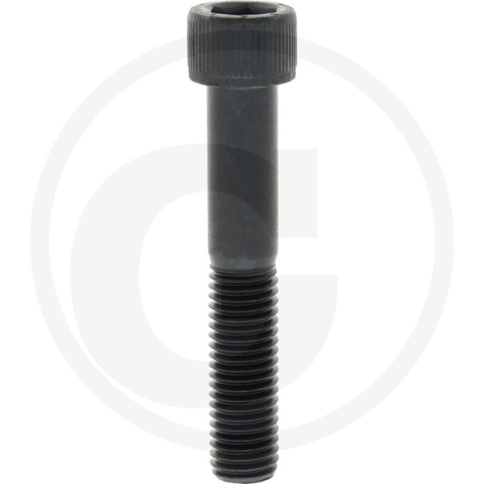 Cil. binnenzeskantbout M14x80 DIN912 Staal 12.9