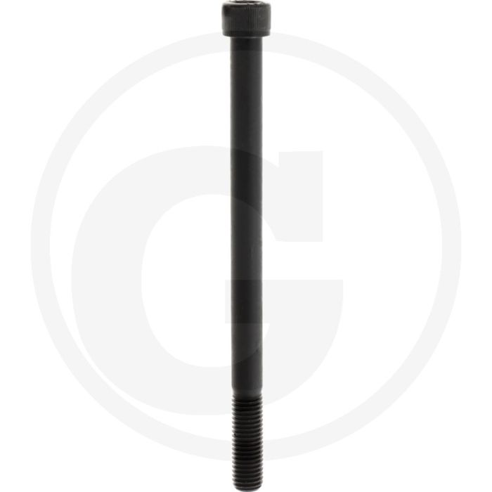 Cil. binnenzeskantbout M14x200 DIN912 Staal 12.9