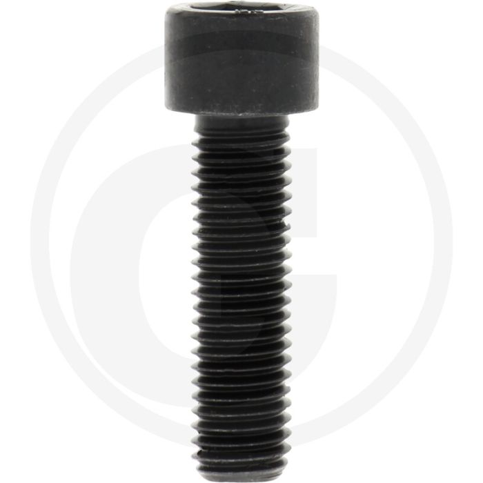 Cil. binnenzeskantbout M14x50 DIN912 Staal 12.9