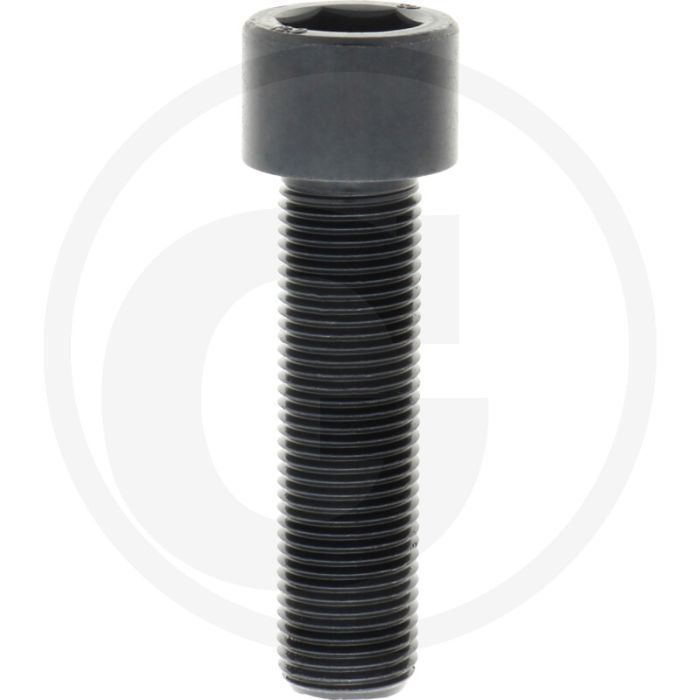 Cil. binnenzeskantbout M16x60 DIN912 Staal 12.9 Zwart