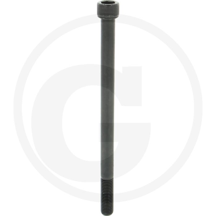 Cil. binnenzeskantbout M16x240 DIN912 Staal 12.9