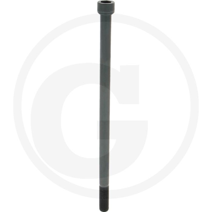 Cil. binnenzeskantbout M16x320 DIN912 Staal 12.9
