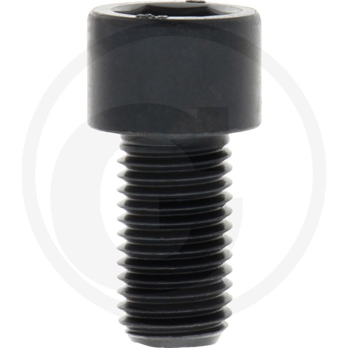 Cil. binnenzeskantbout M16x30 DIN912 staal 12.9 metrische schroefdraad