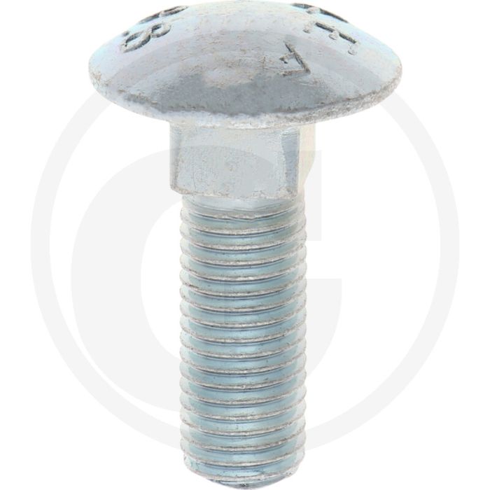 VPE50 bout M16x50 DIN 603 staal 8.8 gegalvaniseerd