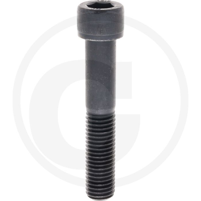 Cil. binnenzeskantbout M18x100 DIN912 Staal 12.9 metrische schroefdraad