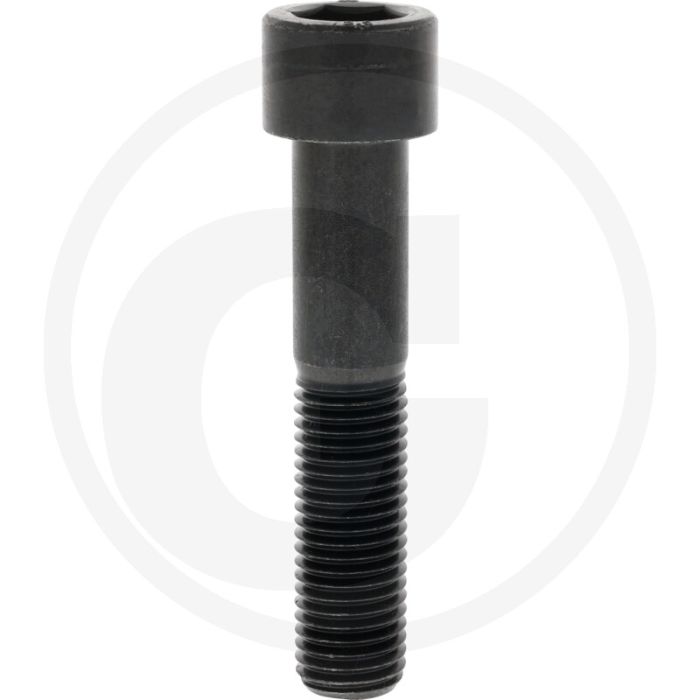 Cil. binnenzeskantbout M20x100 DIN912 Staal 12.9