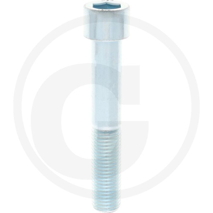 Cil. binnenzeskantbout M20x120 DIN912 Staal 10.9 Gegalvaniseerd