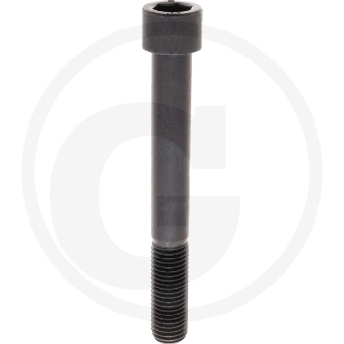 Cil. binnenzeskantbout M20x160 DIN912 Staal 12.9
