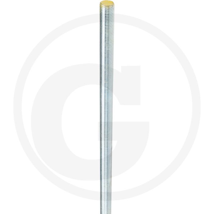 Draadeind M22 x 1000 DIN 976 Verzinkt Staal 8.8 Standaard Draad