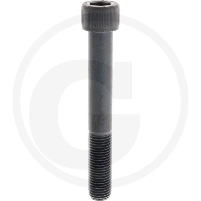 Cil. binnenzeskantbout M22x180 DIN912 Staal 12.9 metrische schroefdraad