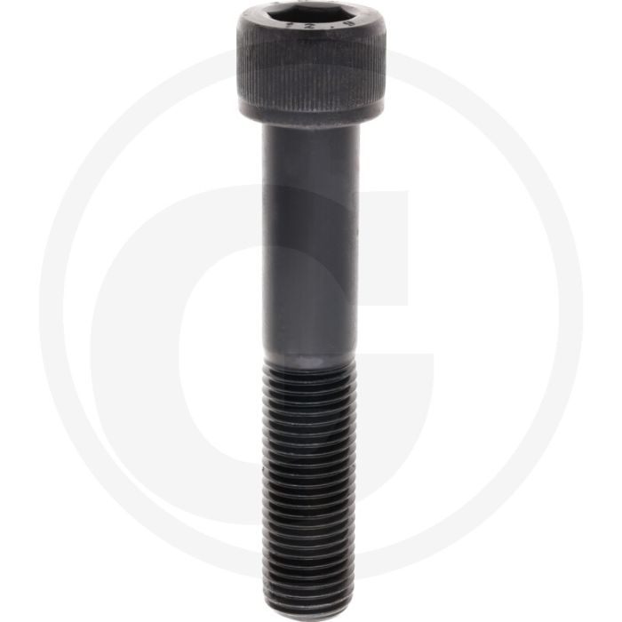 Cil. binnenzeskantbout M22x120 DIN912 Staal 12.9