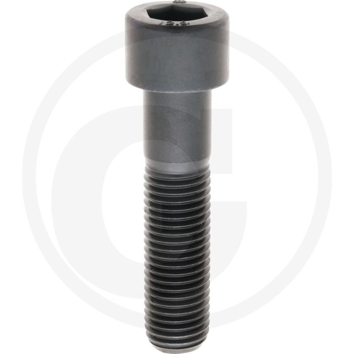 Cil. binnenzeskantbout M24x100 DIN912 Staal 12.9 Metrische schroefdraad