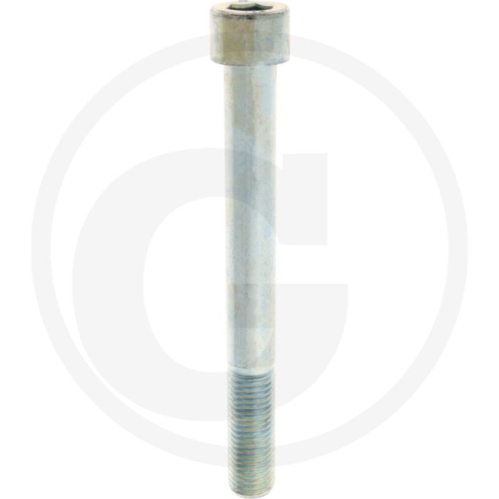 Cil. binnenzeskantbout M24x220 DIN912 Staal 10.9 Gegalvaniseerd