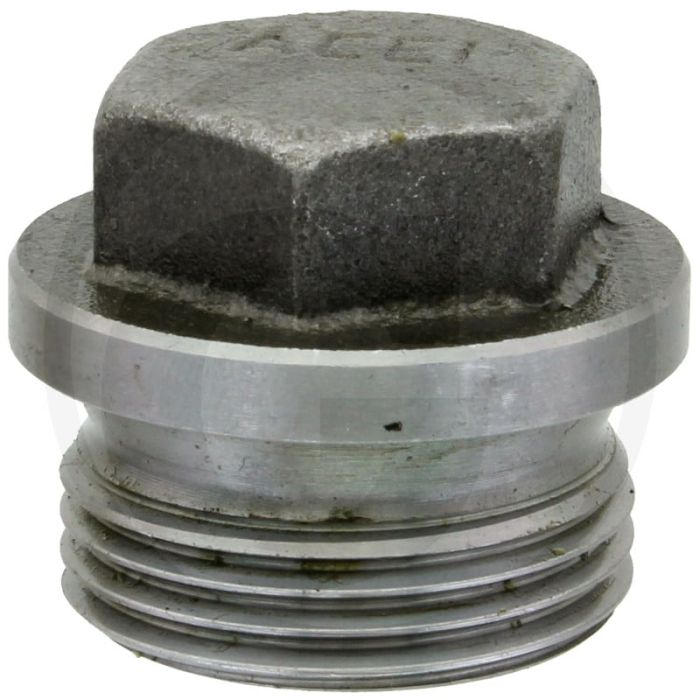 Afsluitplug G 1" DIN 910 Staal Buitenzeskant BSP 5.8