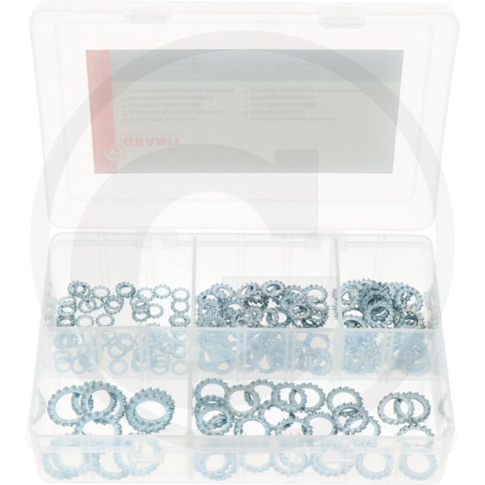 Assortiment tandveerringen (200-delig)