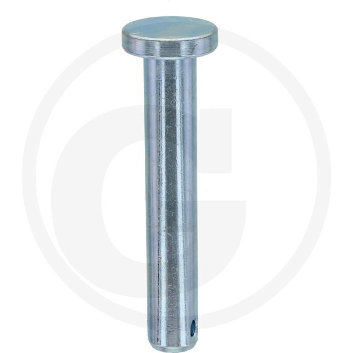Spiebout 10x60 DIN 1444 Gegalvaniseerd Staal, 10 stuks per doos