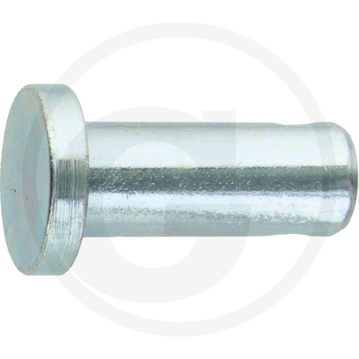 Spiebout 12x30 DIN 1444 Gegalvaniseerd Staal – 10 stuks per doos