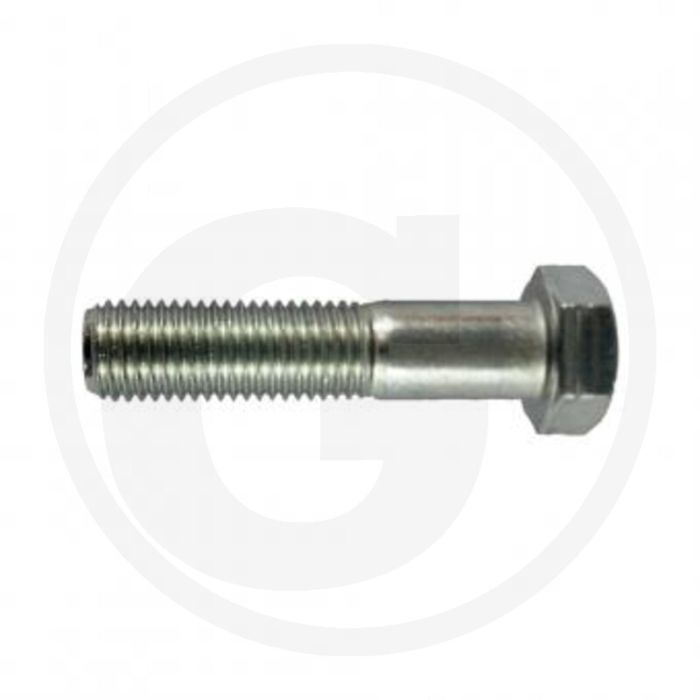 Walterscheid Zeskantbout M8 x 30-8.8