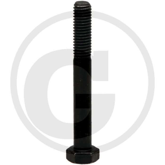 Walterscheid Breekbout (M8 x 60, DIN 931)