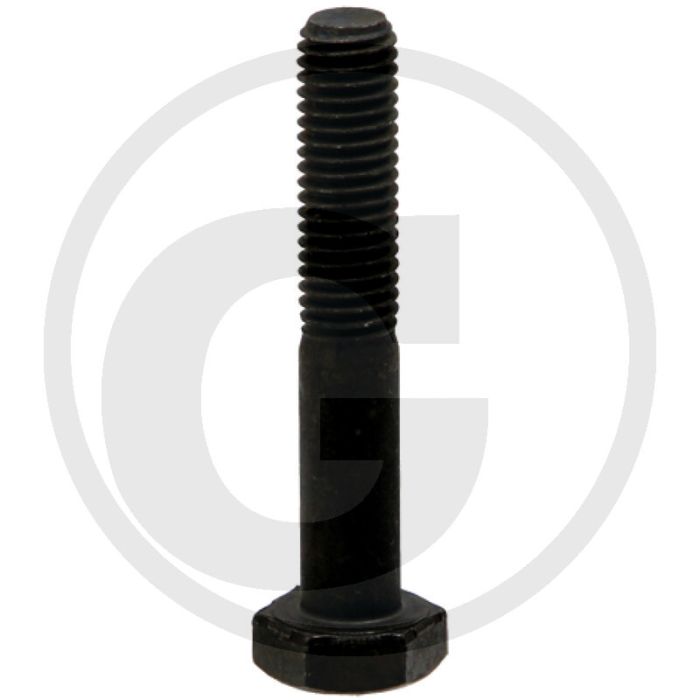 Walterscheid Breekbout (M10 x 60, DIN 931)