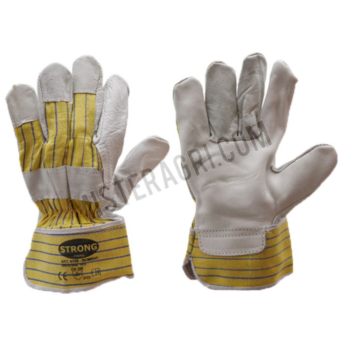 Gants Gants