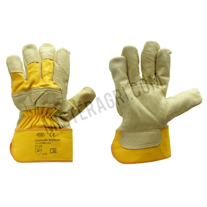 Gants