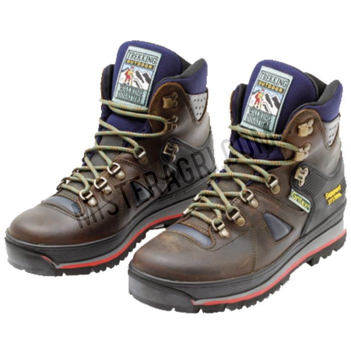 Wandelschoenen