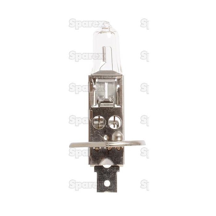Koplamp, 24V, 70W Watts, P14.5s Voet