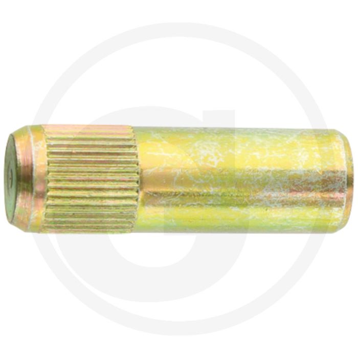Scharnierstift (voor deurruit)