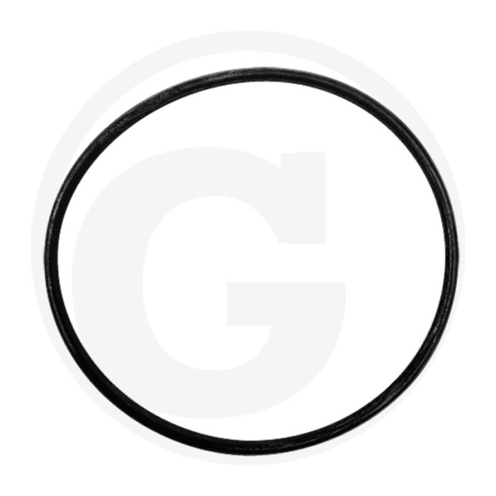 O-ring (voor cilinderbus)