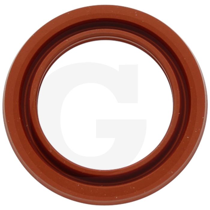 Profielring (voor ingaande as  30 x 43 x 4,9 mm)