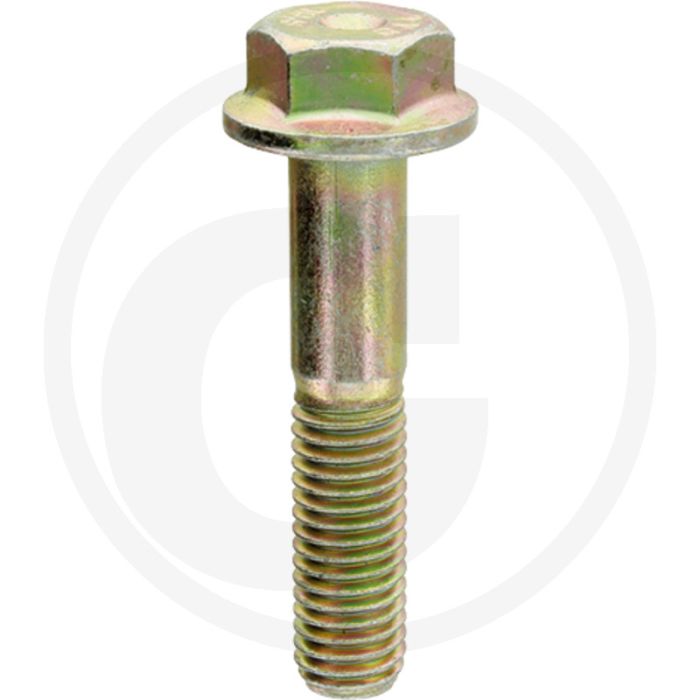 Bout (voor torsiedemper  M10 x 50 x 1,5  benodigd zijn 6 stuks)